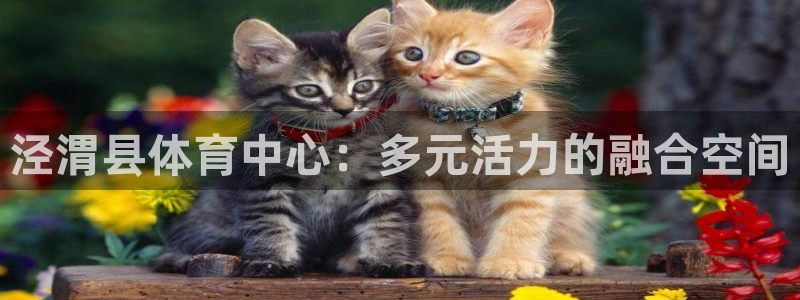 k1体育十年登录入口：泾渭县体育中心：多元活力的融合空间