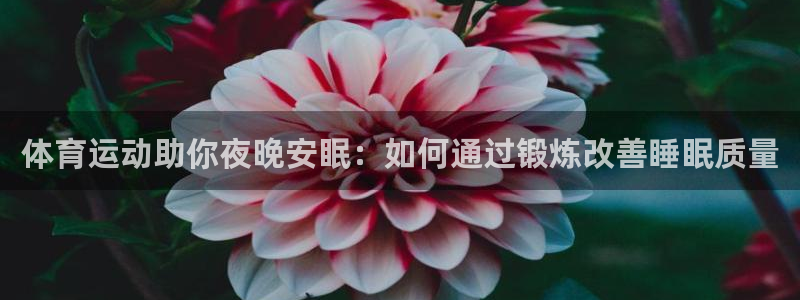 k1体育平台最新网站下载：体育运动助你夜晚安眠：如何通过锻炼改善睡眠质量