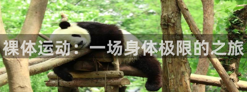 k1体育平台下载：裸体运动：一场身体极限的之旅