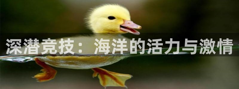 k1体育app