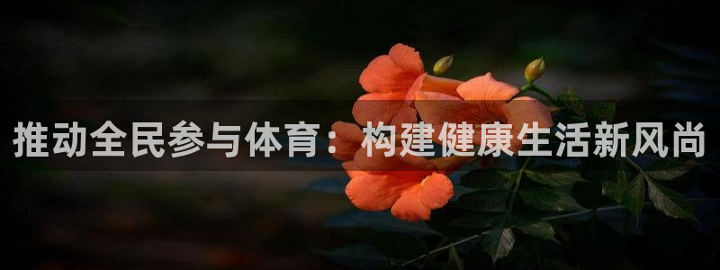 k1体育棋牌