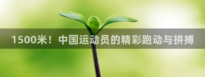 k1体育平台最新网站下载：1500米！中国运动员的精彩跑动与拼搏