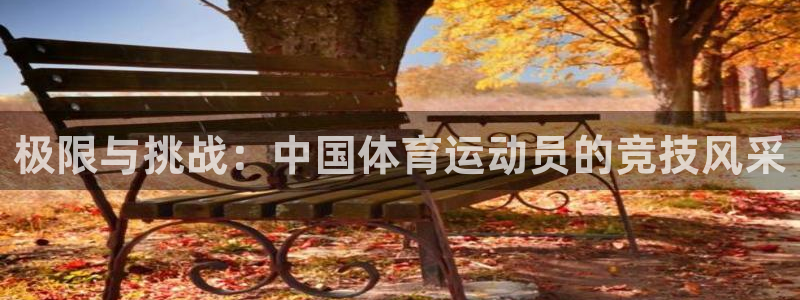 k1体育十年登录入口