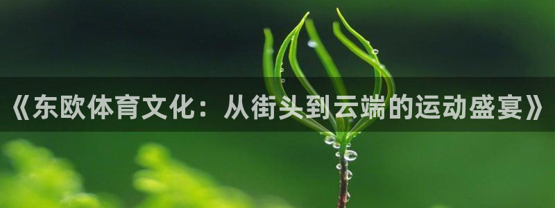 k1体育十年品牌值得信赖网址：《东欧体育文化：从街头到云端的运动盛宴》