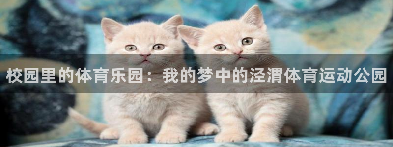 k1体育入口：校园里的体育乐园：我的梦中的泾渭体育运动公园