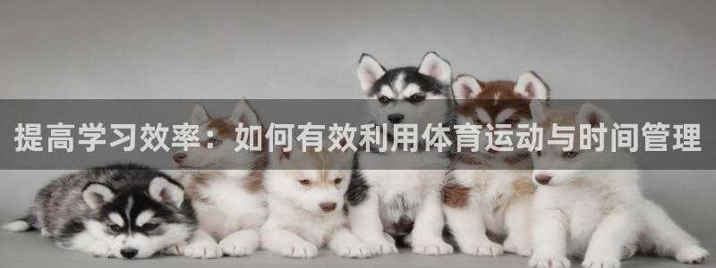 k1体育十年品牌官网：提高学习效率：如何有效利用体育运动与时间管理