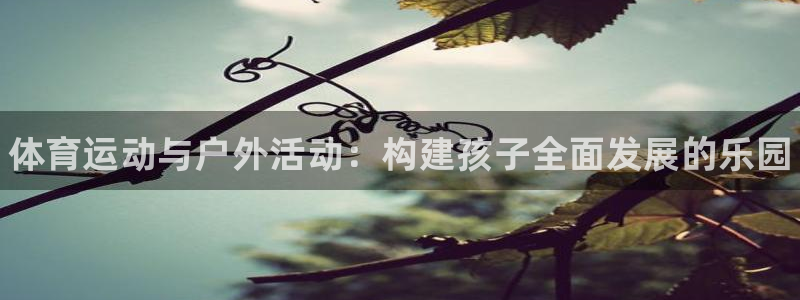 k1体育链接：体育运动与户外活动：构建孩子全面发展的乐园