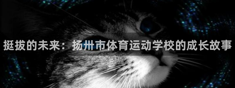 k1体育下载地址：挺拔的未来：扬卅市体育运动学校的成长故事