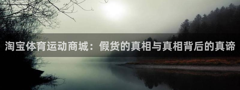 k1体育网站登录官网：淘宝体育运动商城：假货的真相与真相背后的真谛