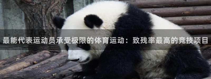 k1体育平台最新网站下载：最能代表运动员承受极限的体育运动：致残率最高的竞技项目