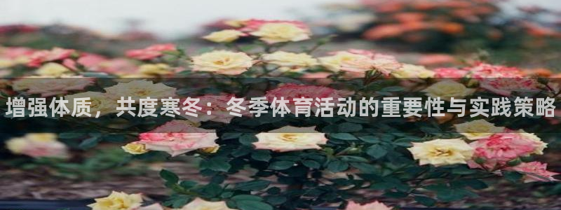 帮k1体育在线登录：增强体质，共度寒冬：冬季体育活动的重要性与实践策略