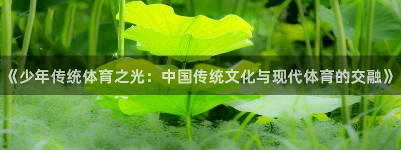 k1体育十年品牌官网：《少年传统体育之光：中国传统文化与现代体育的交融》