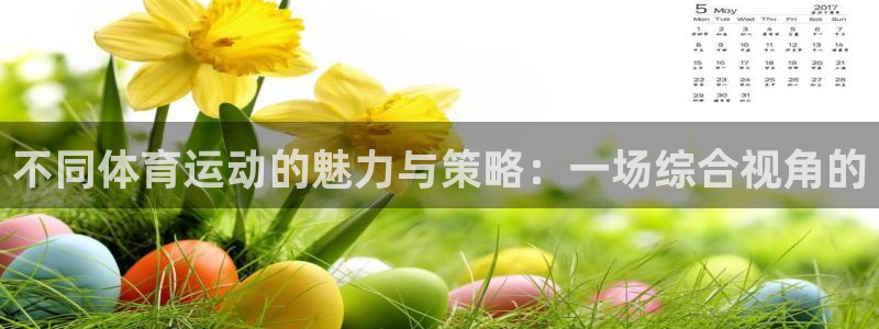 k1体育平台下载：不同体育运动的魅力与策略：一场综合视角的