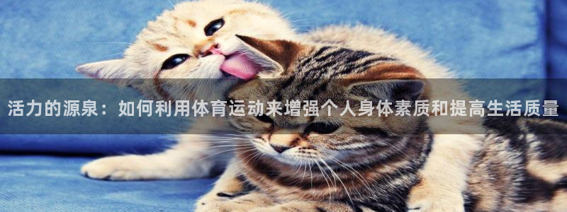 k1体育棋牌网址：活力的源泉：如何利用体育运动来增强个人身体素质和提高生活质量