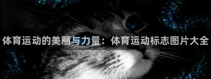 k1体育网站登录官网：体育运动的美丽与力量：体育运动标志图片大全