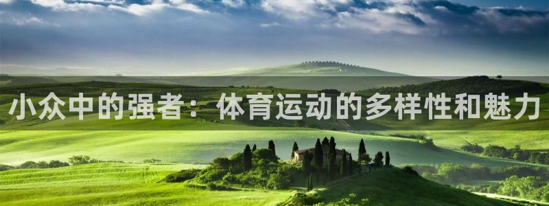 k1体育棋牌网址：小众中的强者：体育运动的多样性和魅力