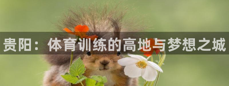 k1体育链接：贵阳：体育训练的高地与梦想之城