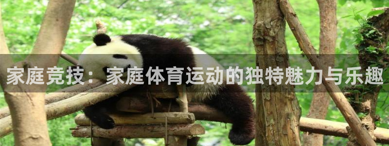 k1体育平台最新网站下载：家庭竞技：家庭体育运动的独特魅力与乐趣