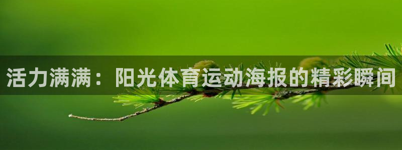 k1体育下载地址：活力满满：阳光体育运动海报的精彩瞬间