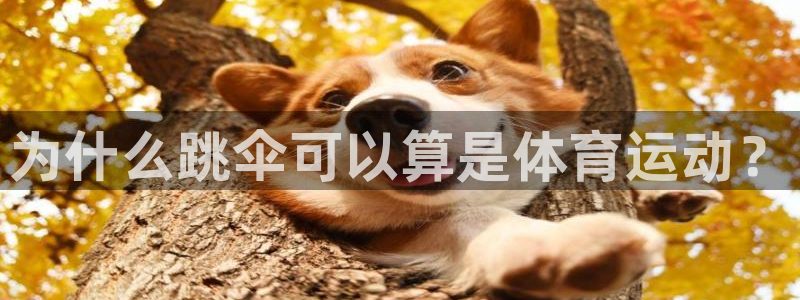 k1体育app官网登录入口：为什么跳伞可以算是体育运动？