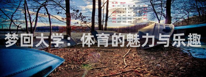 k1体育下载链接：梦回大学：体育的魅力与乐趣