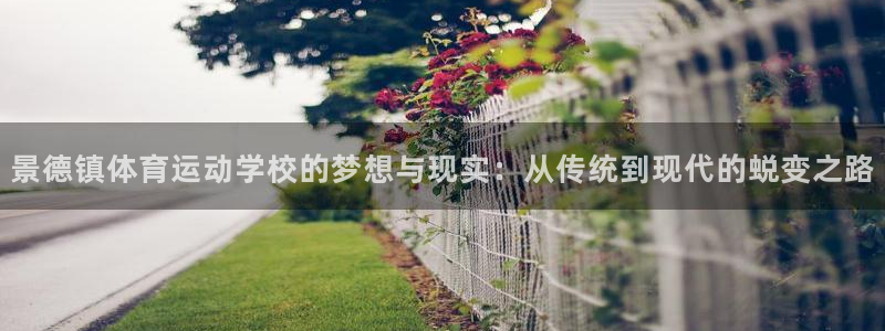 k1体育app官网登录入口：景德镇体育运动学校的梦想与现实：从传统到现代的蜕变之路