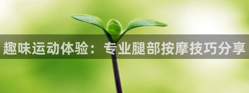 k1体育app下载链接：趣味运动体验：专业腿部按摩技巧分享