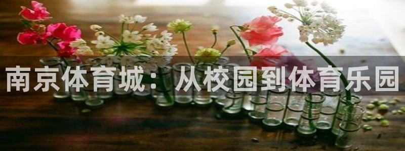 k1体育棋牌网址：南京体育城：从校园到体育乐园