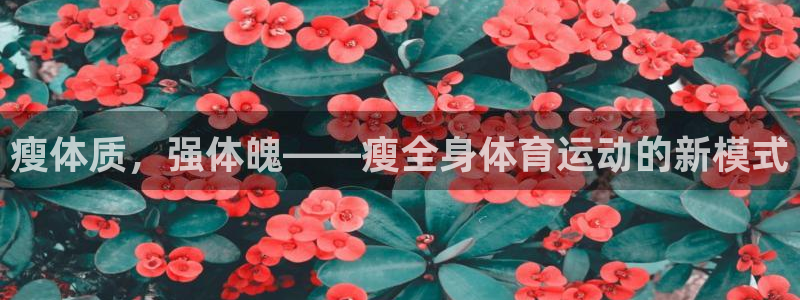 k1体育十年登录入口：瘦体质，强体魄——瘦全身体育运动的新模式
