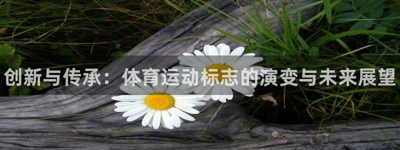 k1体育棋牌网址：创新与传承：体育运动标志的演变与未来展望