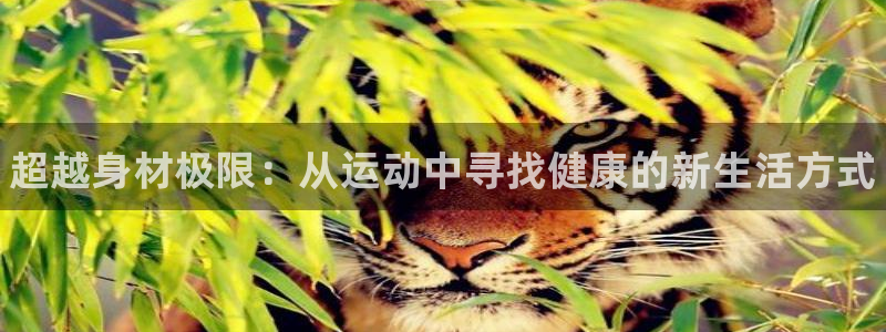 k1体育下载链接：超越身材极限：从运动中寻找健康的新生活方式