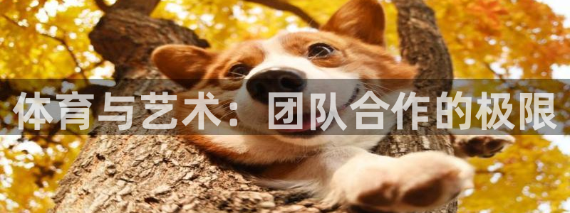 k1体育入口：体育与艺术：团队合作的极限