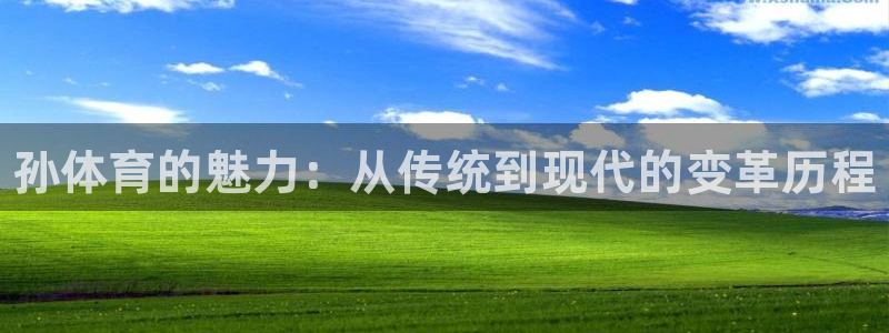 k1体育十年登录入口：孙体育的魅力：从传统到现代的变革历程