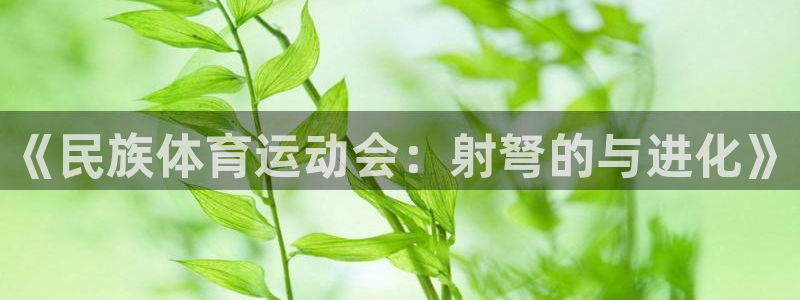 k1体育网站登录官网：《民族体育运动会：射弩的与进化》