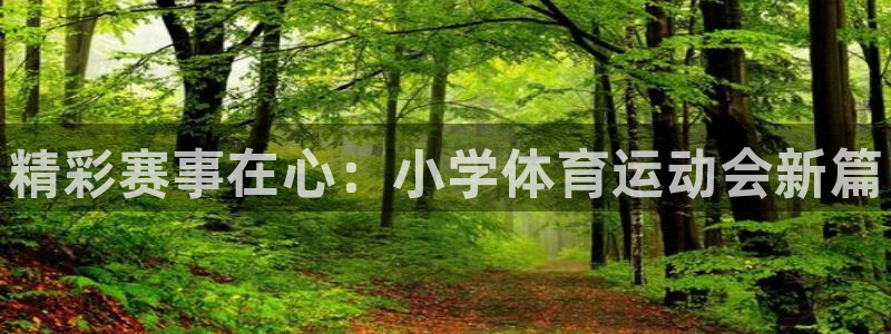 k1体育app官网登录入口：精彩赛事在心：小学体育运动会新篇