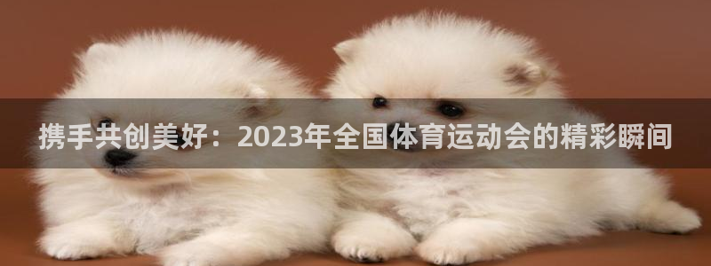 k1体育十年品牌值得信赖：携手共创美好：2023年全国体育运动会的精彩瞬间